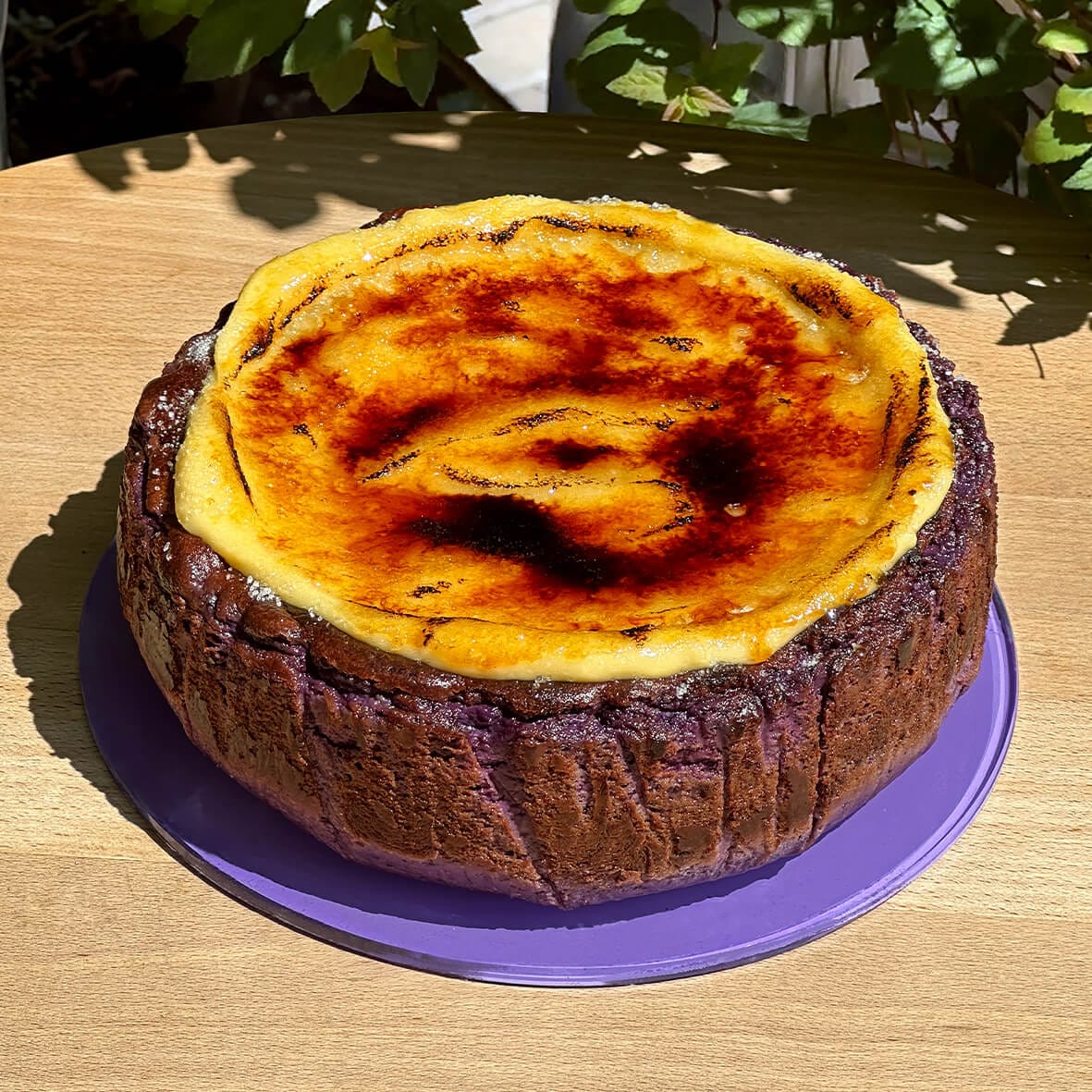 Чорничний Баскський чизкейк Сан Себастьян з лемонним крем-брюле Cheesecake Family