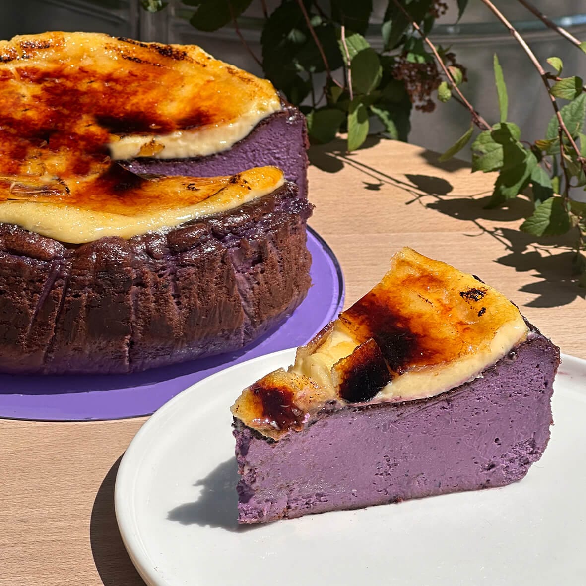 Чорничний Баскський чизкейк Сан Себастьян з лемонним крем-брюле Cheesecake Family