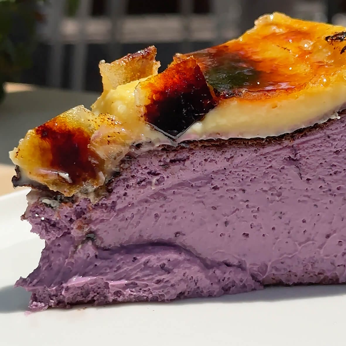 Чорничний Баскський чизкейк Сан Себастьян з лемонним крем-брюле Cheesecake Family