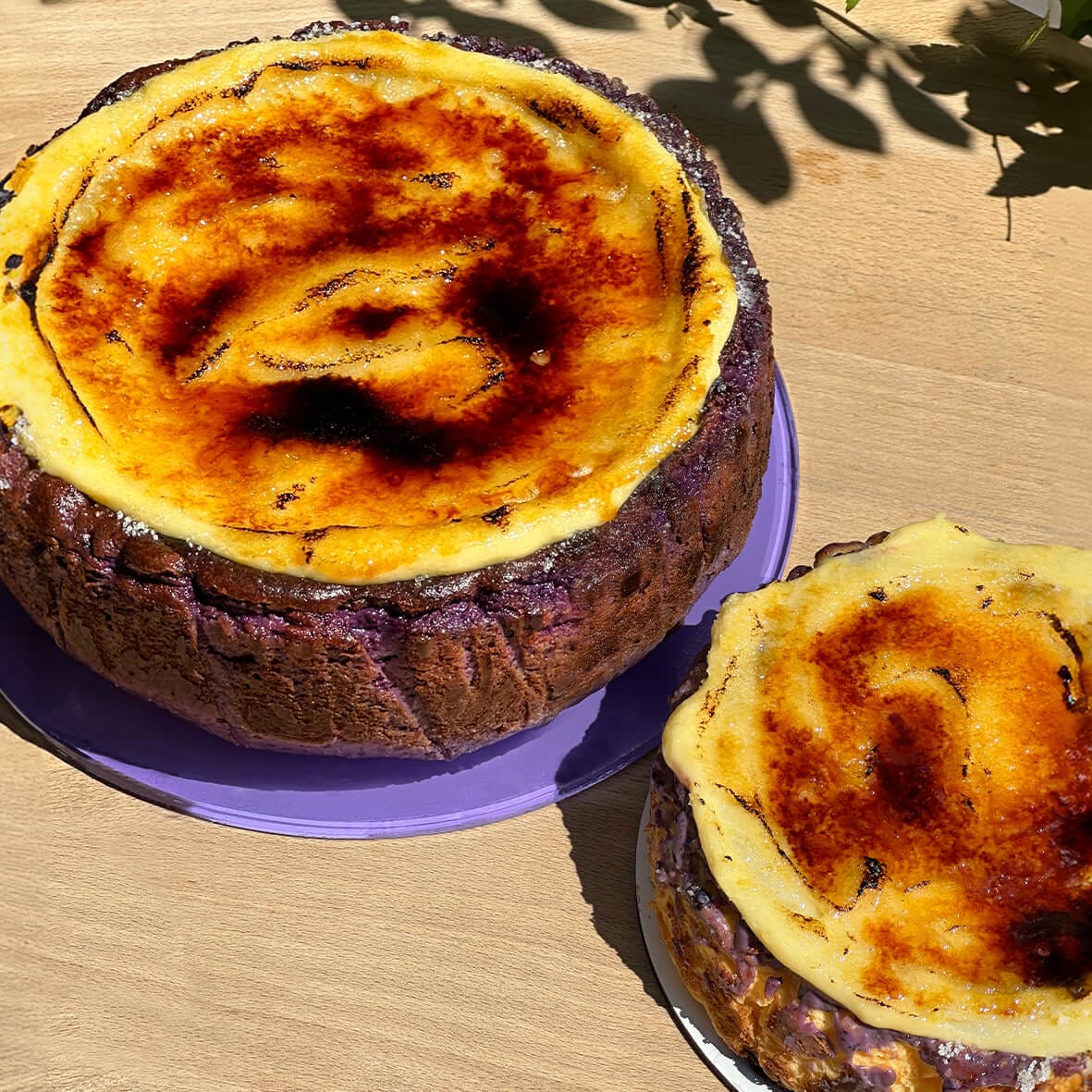 Чорничний Баскський чизкейк Сан Себастьян з лемонним крем-брюле Cheesecake Family