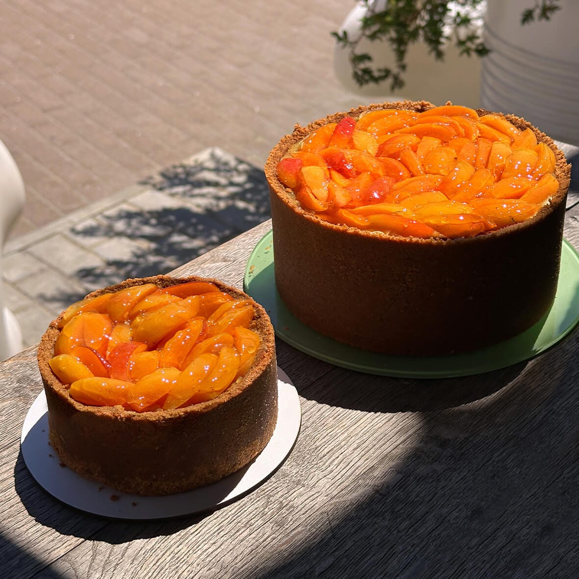 Великий і бенто чизкейк Ананас-Абрикос з абрикосами від Cheesecake Family