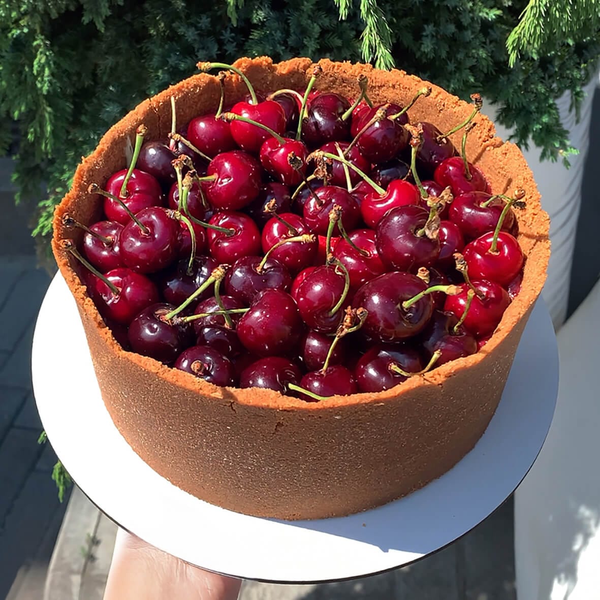Вишневий чизкейк із черешнею від Cheesecake Family у хрусткій основі зі свіжими ягодами в декорі