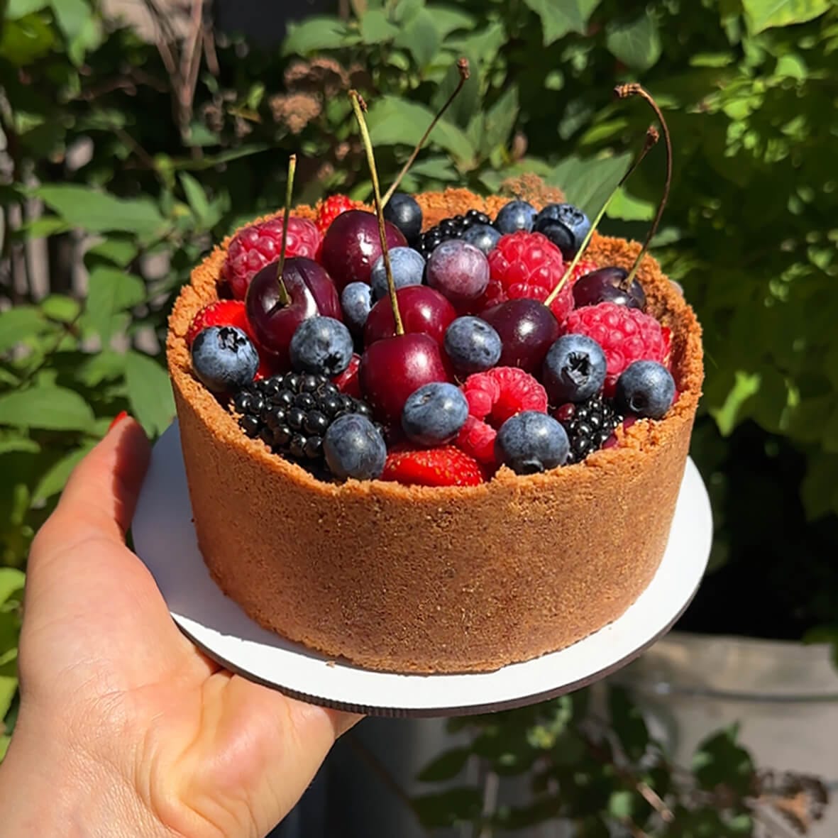 Ожиновий бенто-чизкейк «Вері Беррі» від Cheesecake Family зі свіжими ягодами та черешнею